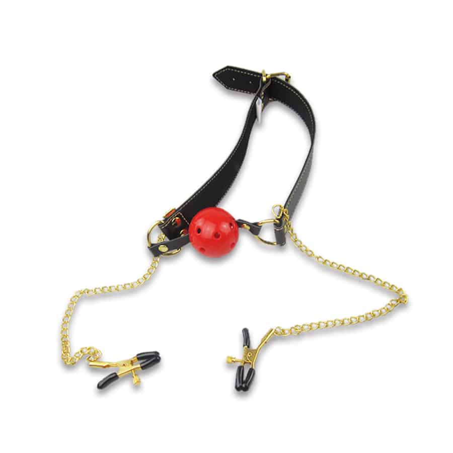 ROOMFUN SM Gag & Adjustable Clamps BDSM | buy Adult toys Online at 18Plus World Malaysia ROOMFUN SM Gag & Adjustable Clamps