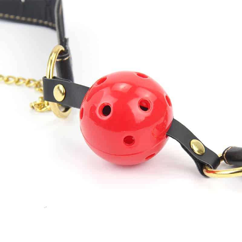 ROOMFUN SM Gag & Adjustable Clamps BDSM | buy Adult toys Online at 18Plus World Malaysia ROOMFUN SM Gag & Adjustable Clamps - Image 2