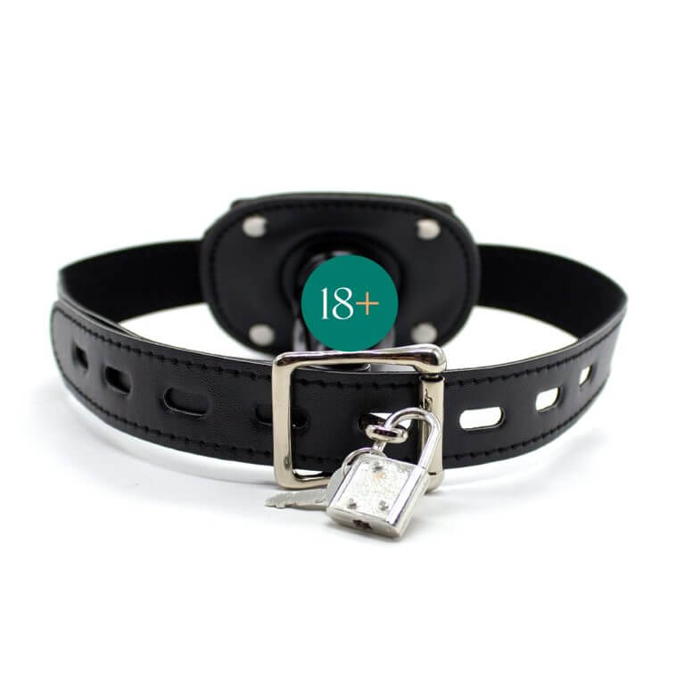 YiFeng SM Leather Lockable Ball Gag BDSM | buy Adult toys Online at 18Plus World Malaysia