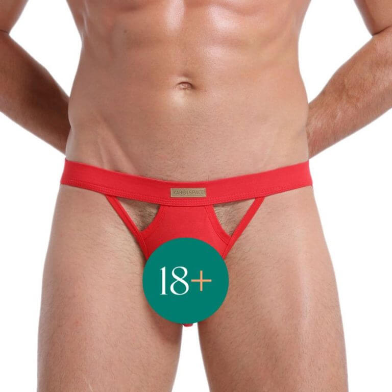 Men Sexy Hollow Out Erotic Underwear For Him | buy Adult toys Online at 18Plus World Malaysia